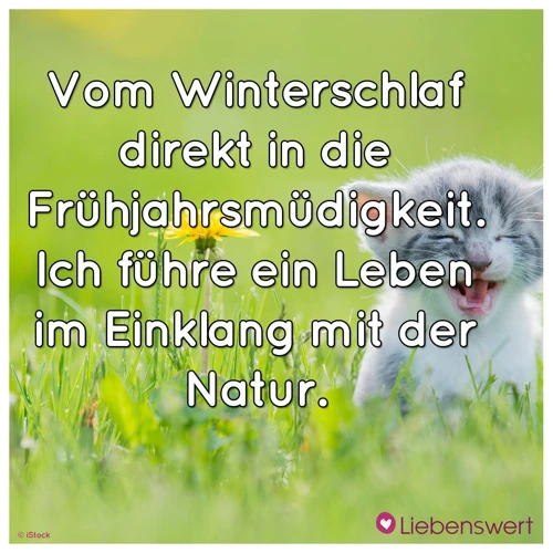 Humor In Der Natur